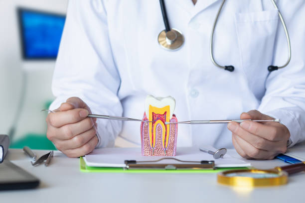 Best Emergency Tooth Extraction in Green Tree, PA